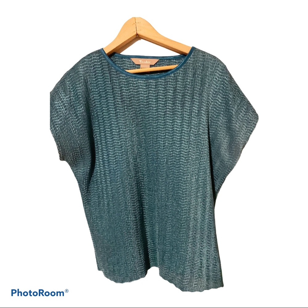 Gorgeous blue TanJay top